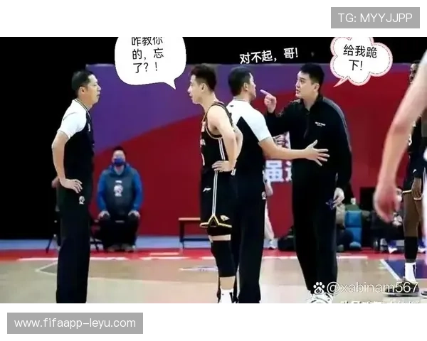 体育裁判判罚引发争议，球迷与专家激烈讨论结果公正性