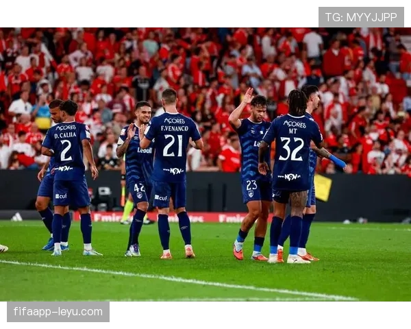 德甲焦点战:大众主场迎战劲旅,球迷期待稳健对决 德甲焦点战:大众主场迎战劲旅,球迷期待稳健对决