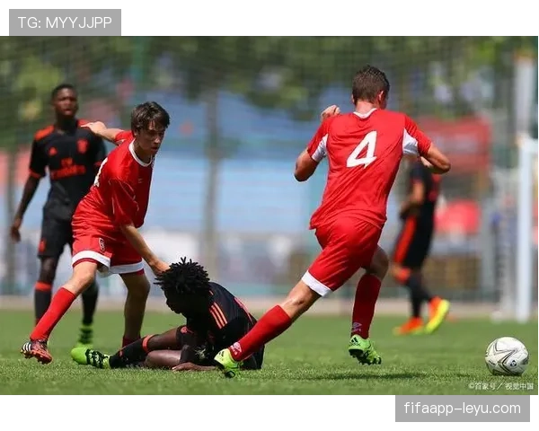 塔利亚菲科本赛季状态回暖,阿根廷左闸表现稳健 塔利亚菲科本赛季状态回暖,阿根廷左闸表现稳健