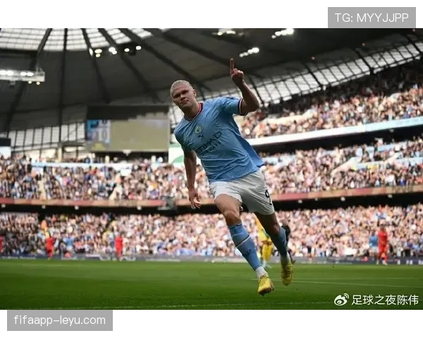 哈兰德效率与体系贡献是否被高估